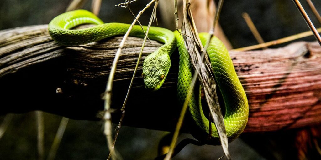 python 3.8